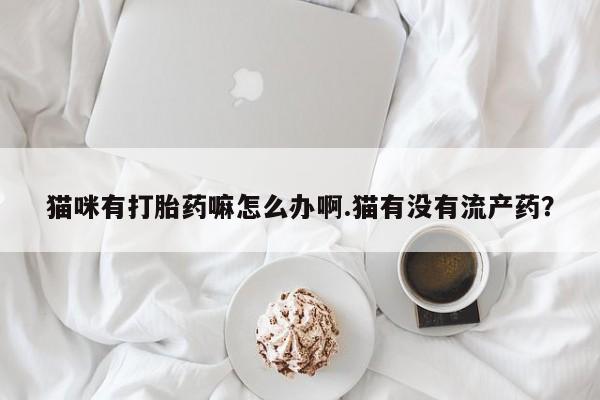 米非司酮片米索前列醇片网店在线购买猫咪有打胎药嘛怎么办啊.猫有没有流产药？