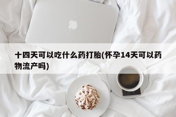 米非司酮片米索前列醇片网店在线购买十四天可以吃什么药打胎(怀孕14天可以药物流产吗)